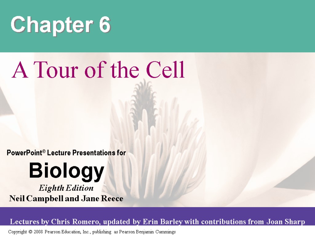 Chapter 6 A Tour of the Cell